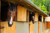 free Mid Clyth stable construction quotes